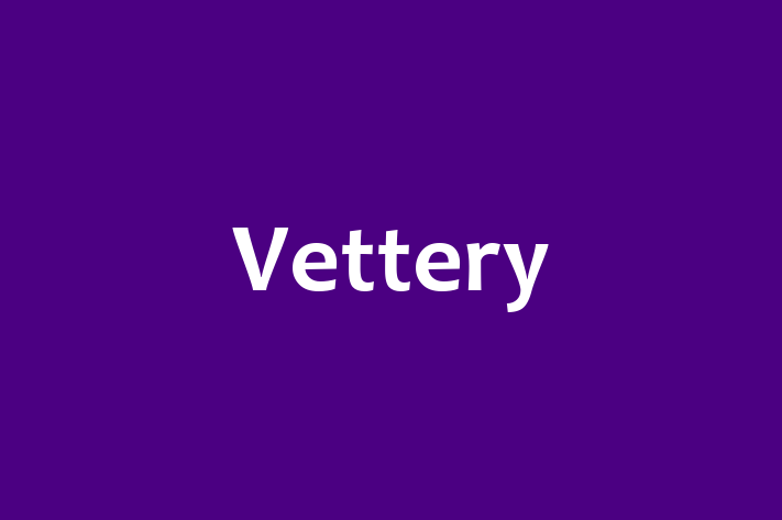 Software Services Company Vettery