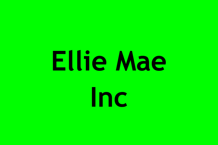 Software Consultancy Ellie Mae Inc