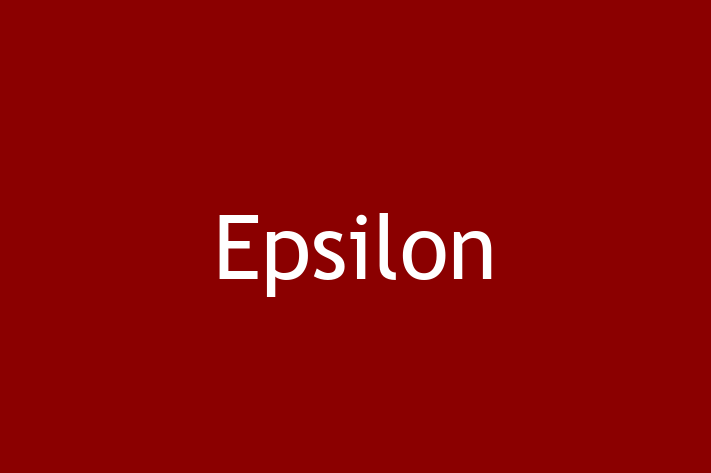 Software Firm Epsilon