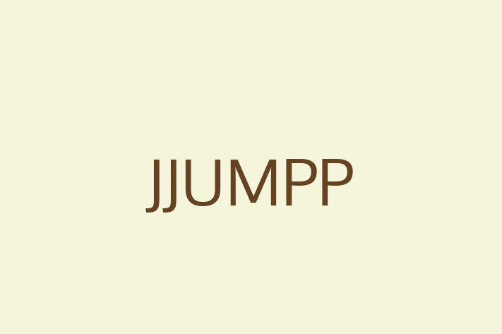 Software Development Company JJUMPP