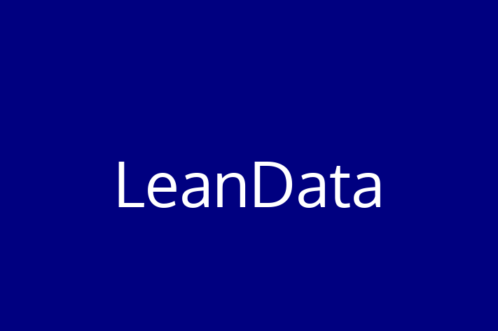 Software Consultancy LeanData