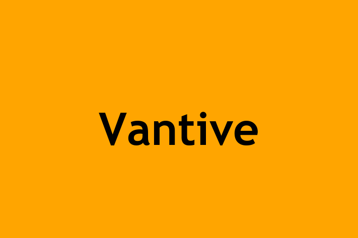 IT Company Vantive