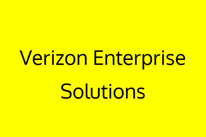 Software Services Company Verizon Enterprise Solutions