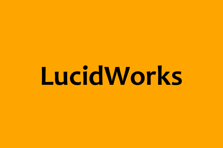 Software Solutions Provider LucidWorks