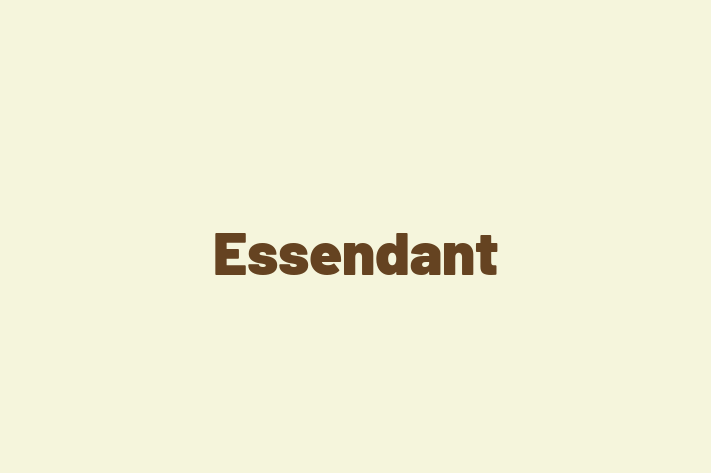 Talent Management Essendant