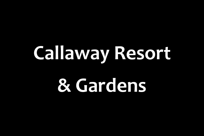 Talent Management Callaway Resort Gardens