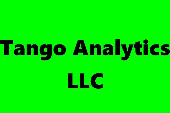 Tech Solutions Company Tango Analytics LLC