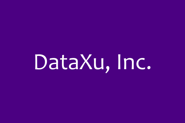 IT Company DataXu Inc.