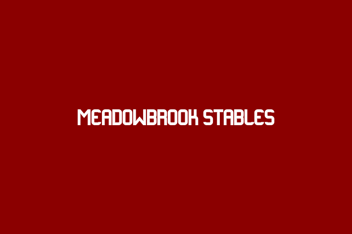 Talent Management Meadowbrook Stables