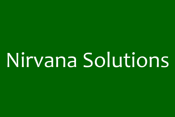 Application Development Company Nirvana Solutions