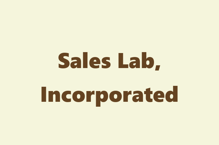 Software Consultancy Sales Lab Incorporated