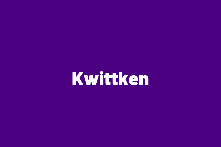 IT Company Kwittken