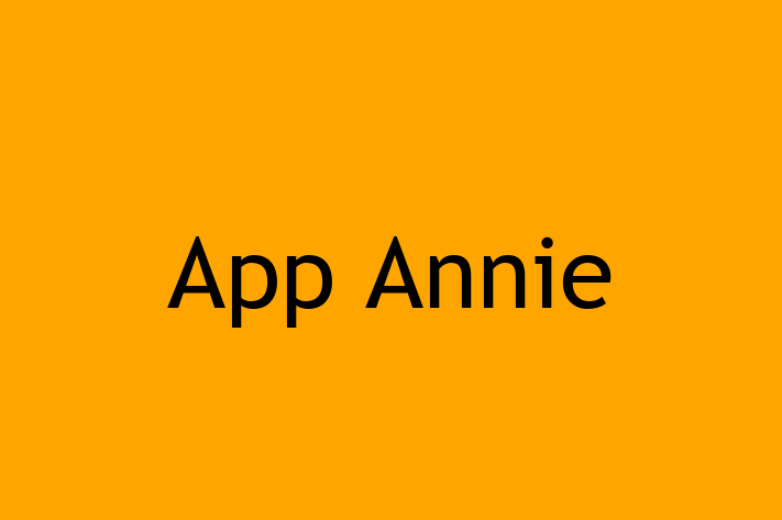 Application Development Company App Annie