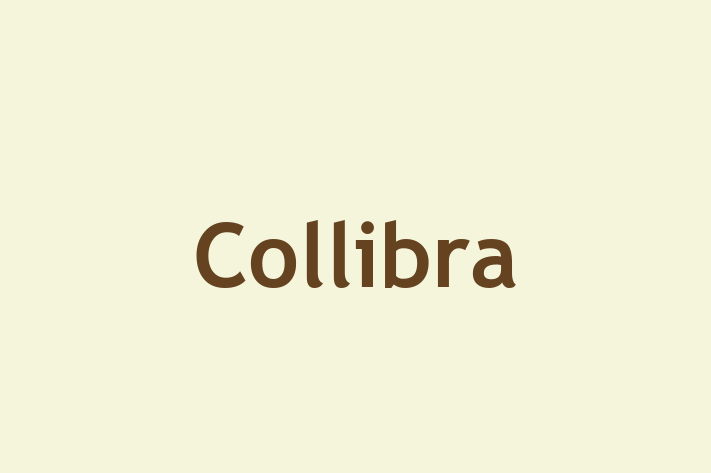 Talent Management Collibra