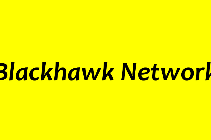 Software Engineering Company Blackhawk Network