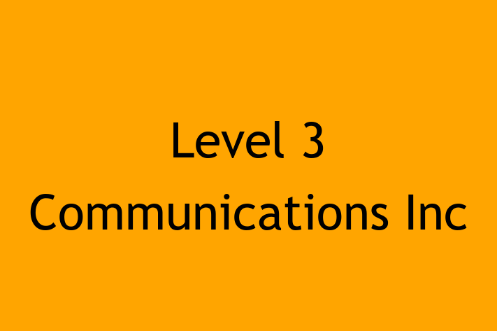 Software Consultancy Level 3 Communications Inc