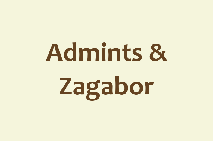 Software Services Company Admints Zagabor