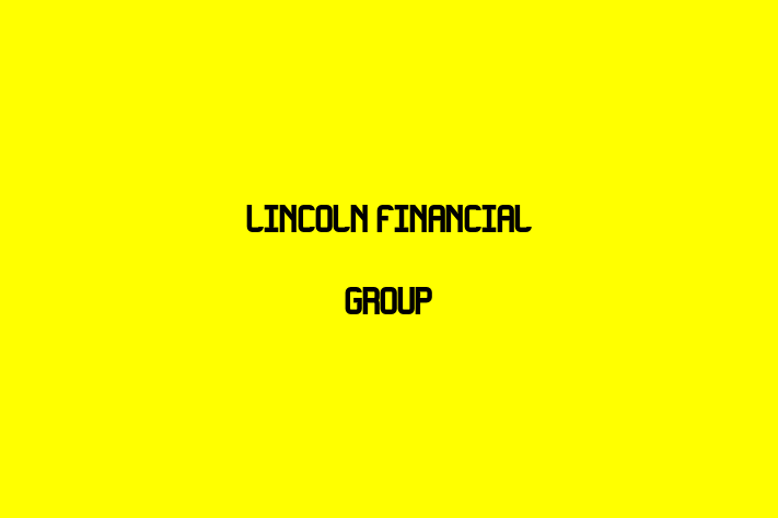 Human Resource Management Lincoln Financial Group