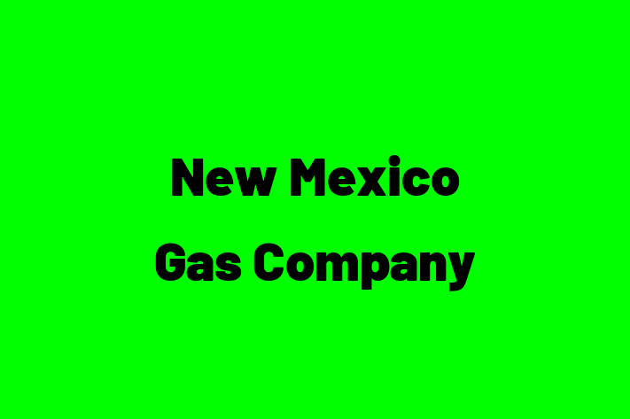 Software Development Firm New Mexico Gas Company