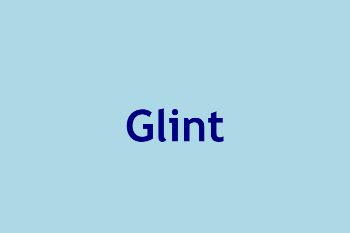 Software Development Company Glint