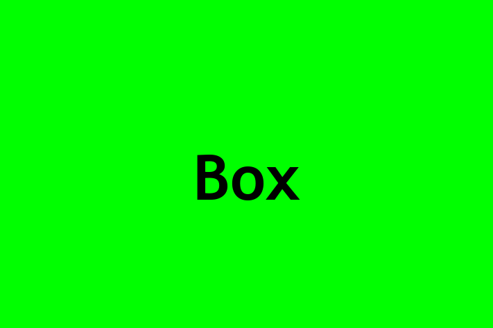 Technology Solutions Firm Box