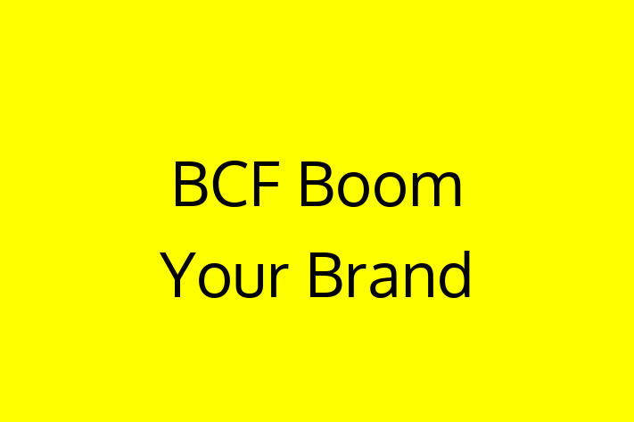 Technology Solutions Firm BCF   Boom Your Brand