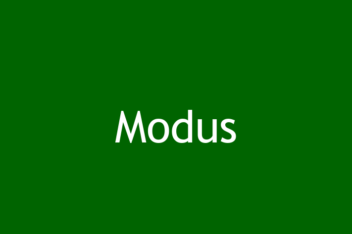 Digital Solutions Provider Modus