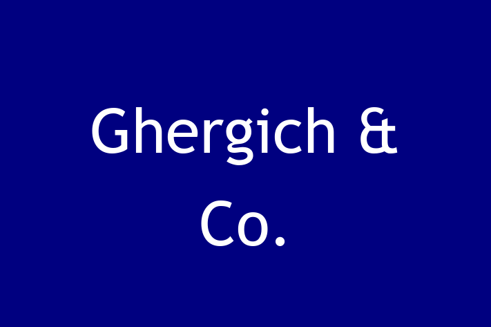 Software Consultancy Ghergich  Co.