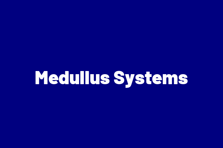 Digital Solutions Provider Medullus Systems