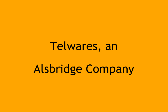 Tech Firm Telwares an Alsbridge Company