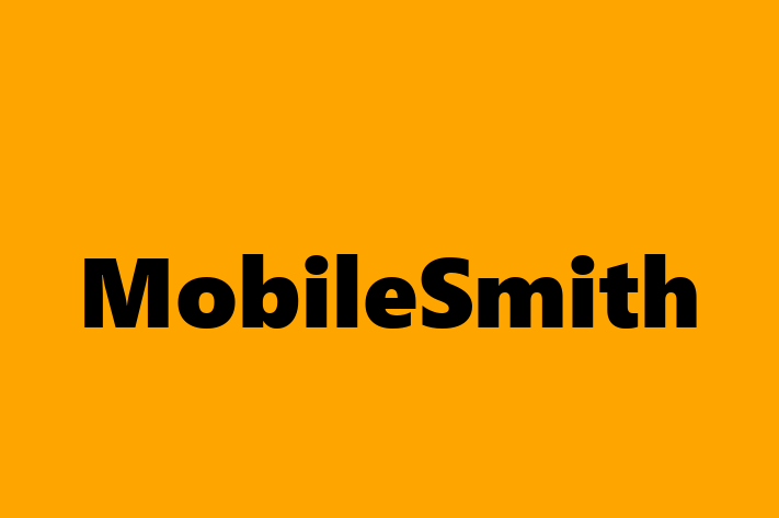 Software Consultancy MobileSmith