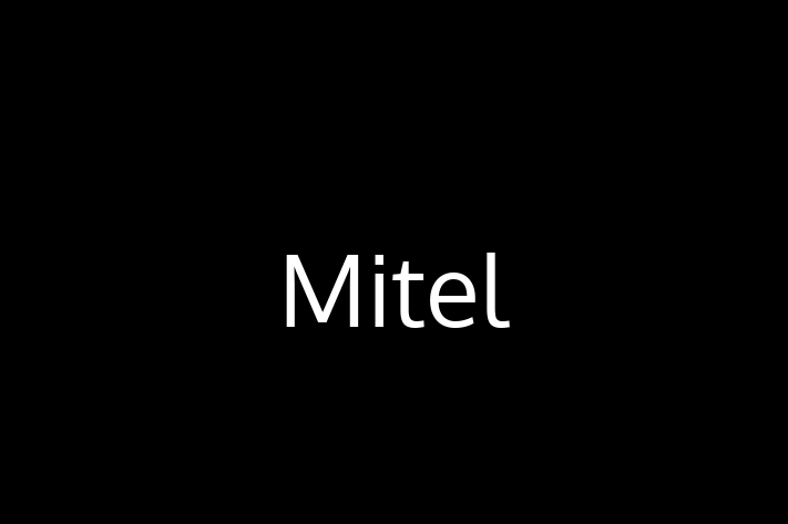 Technology Solutions Firm Mitel