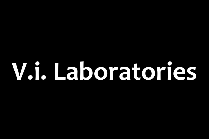 Software Development Company V.i. Laboratories