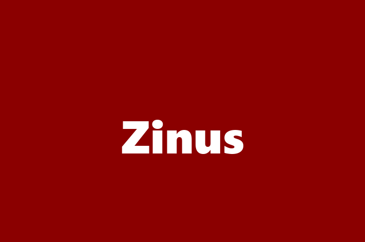 Labor Relations Zinus