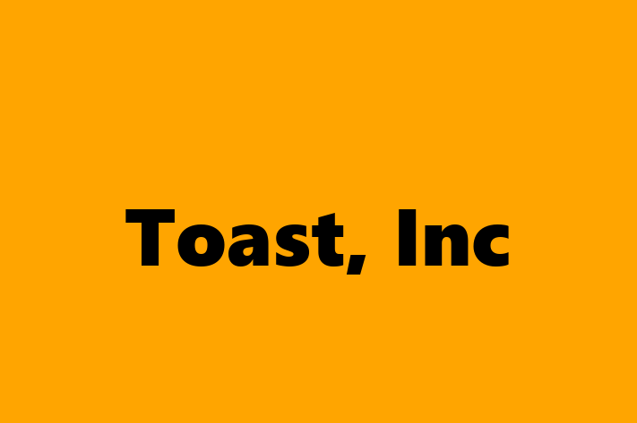 Software Consultancy Toast Inc