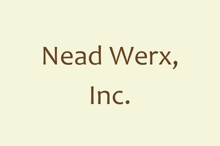 Software Engineering Company Nead Werx Inc.