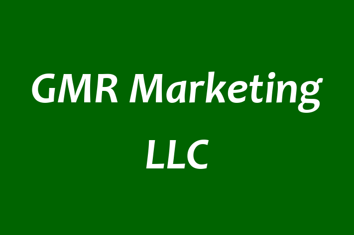 Software Solutions Provider GMR Marketing LLC