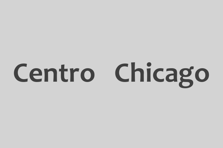 Software Solutions Provider Centro  Chicago