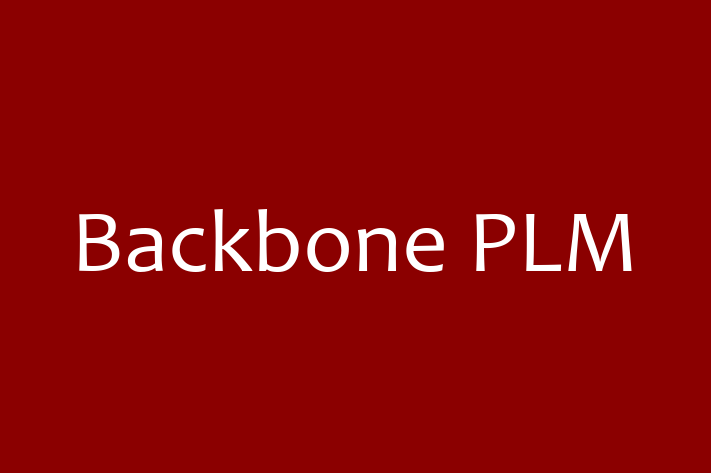 Technology Solutions Firm Backbone PLM