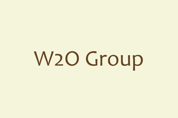 IT Company W2O Group