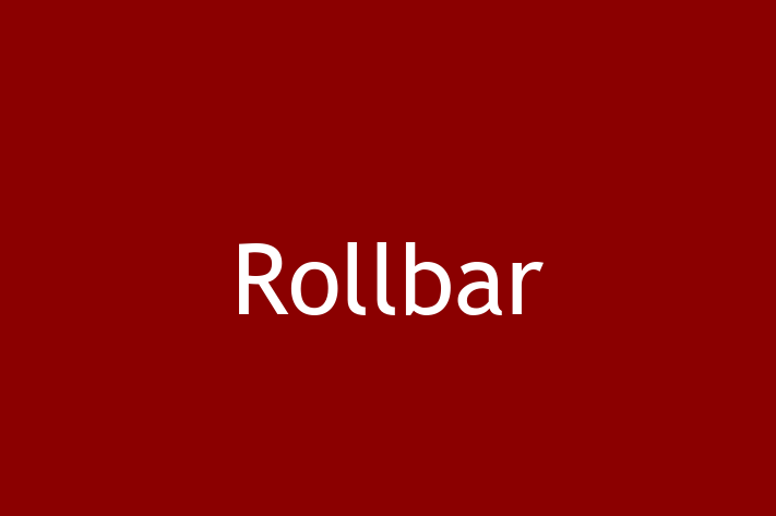 IT Company Rollbar