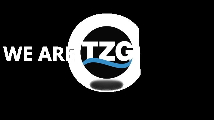 Software Solutions Provider The Zimmerman Group