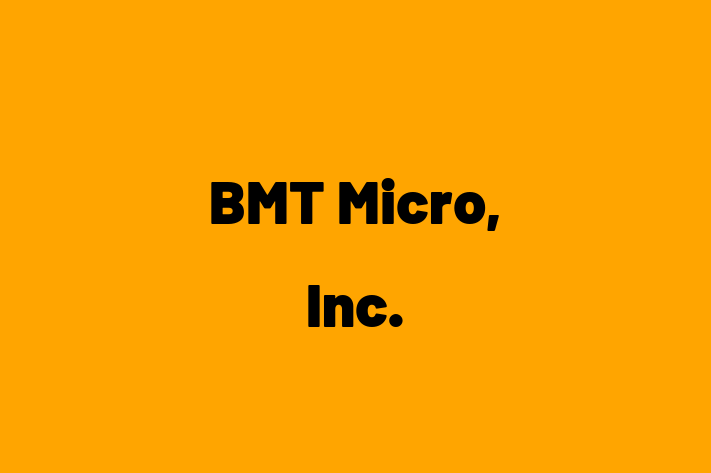 Application Development Company BMT Micro Inc.