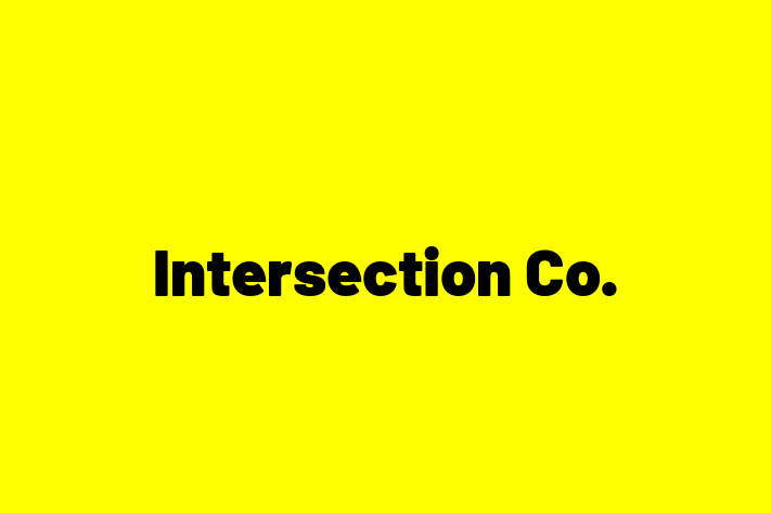 Software Consultancy Intersection Co.