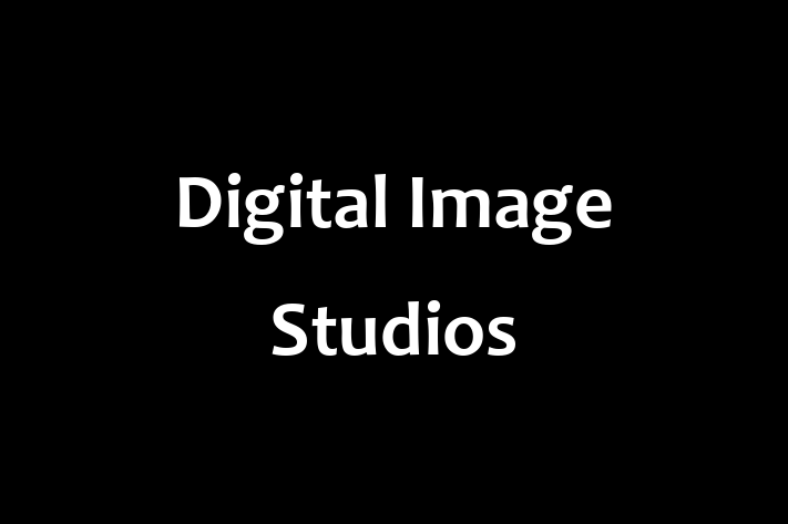 Software Development Firm Digital Image Studios