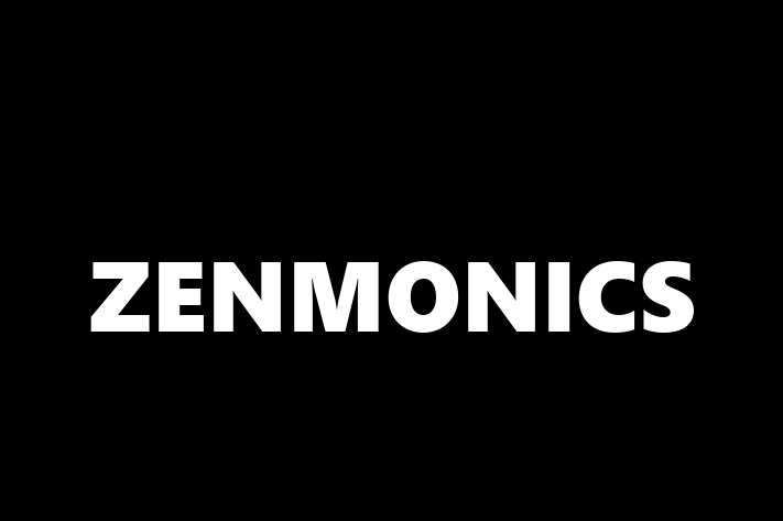 IT Company ZENMONICS