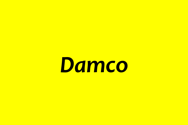 Technology Company Damco