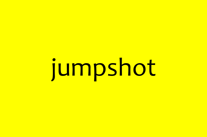 Software Services Company jumpshot