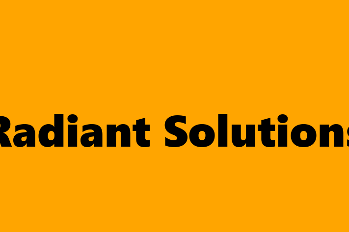 Software Consultancy Radiant Solutions