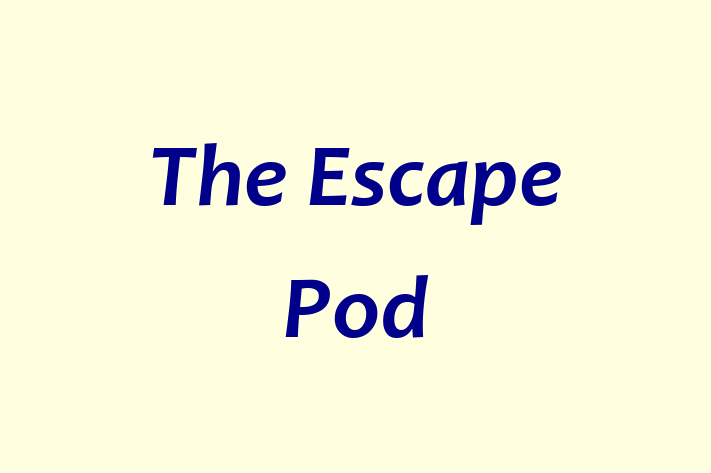 Digital Solutions Provider The Escape Pod